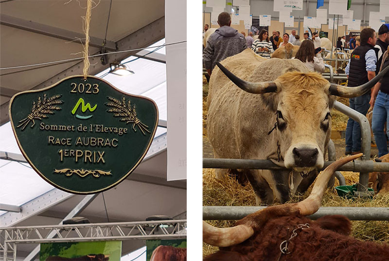 sommet elevage img 9