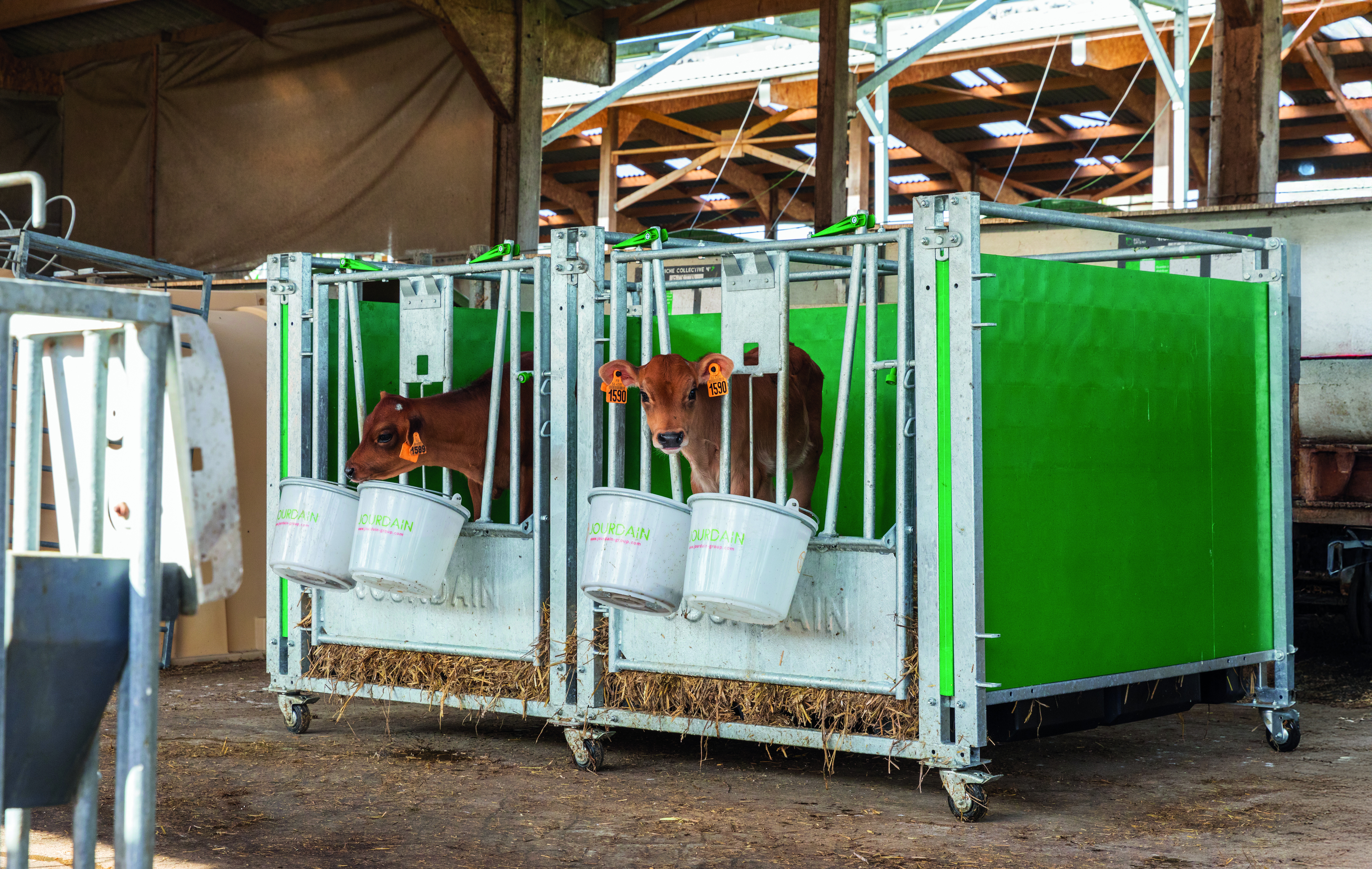 AT4A5724 24 10 BO Case veau JOURDAIN Vital