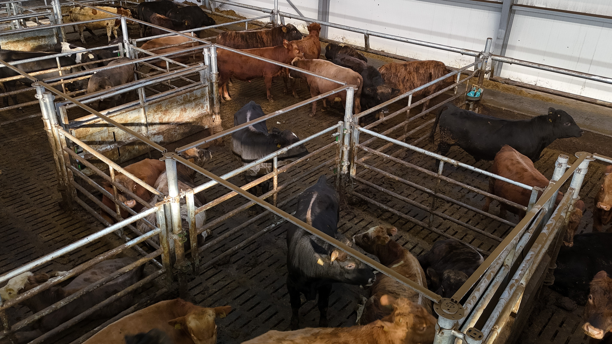 DJI 20251021124320 0388 D