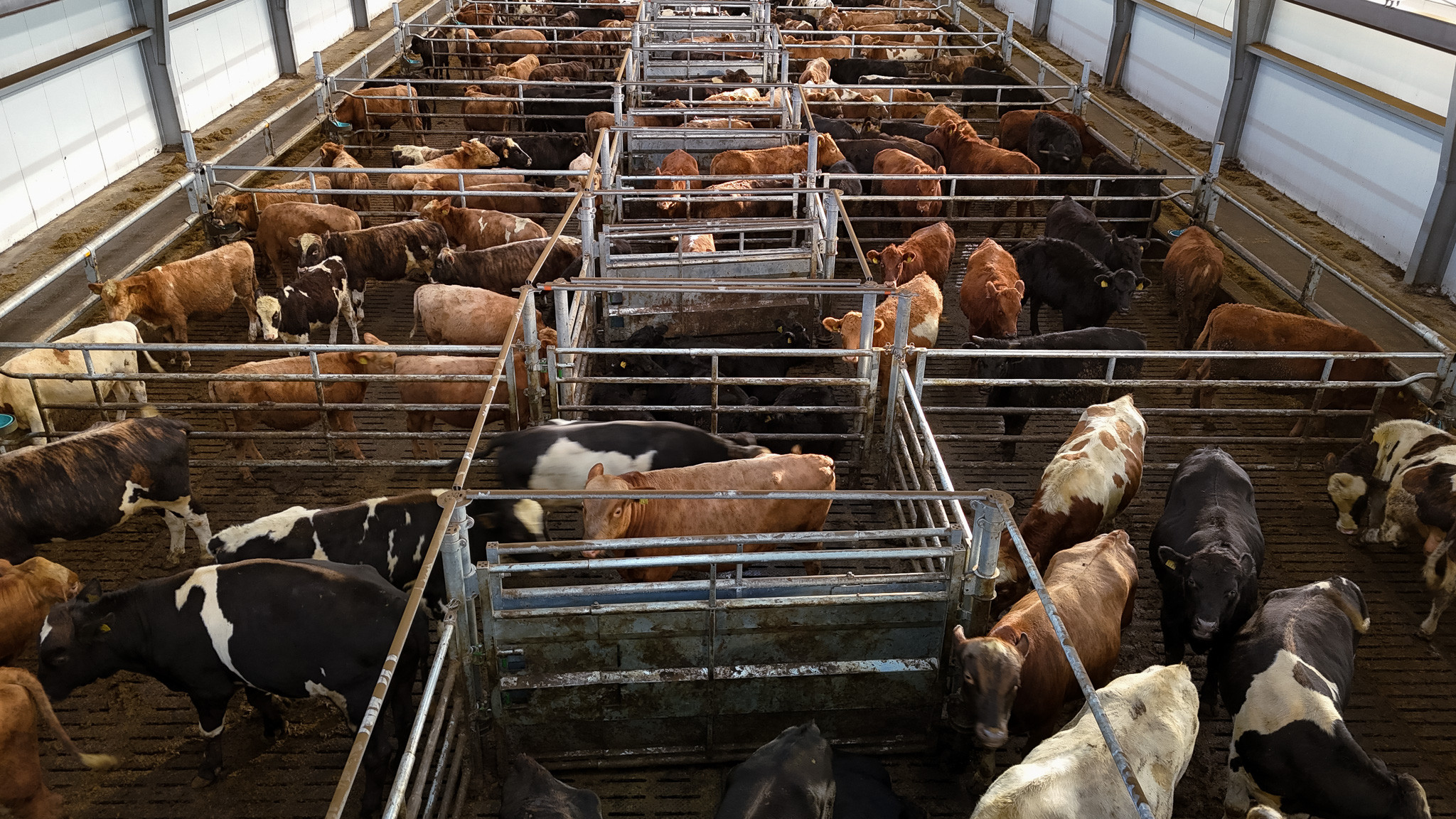 DJI 20251021124234 0382 D