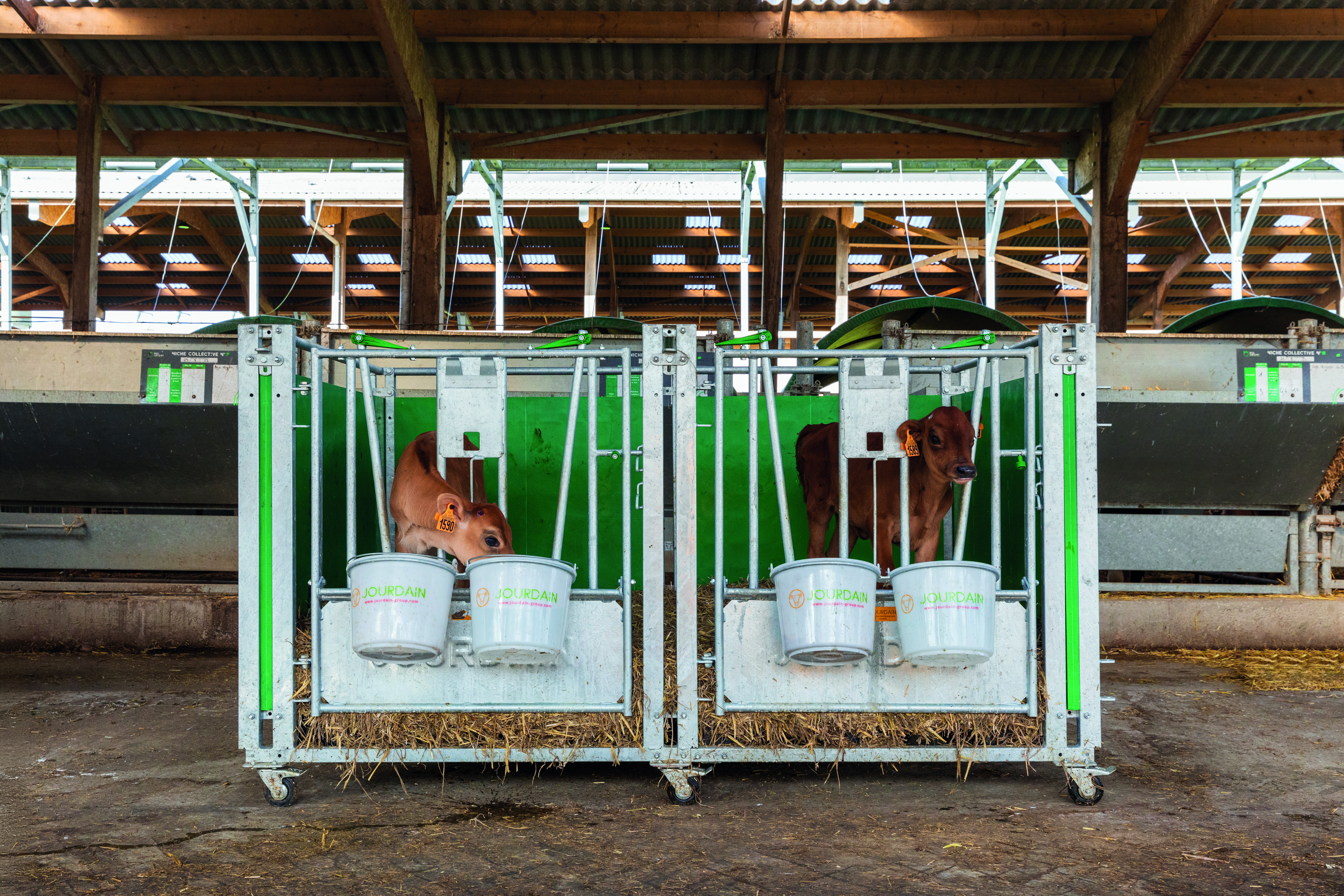 AT4A5720 24 10 BO Case veau JOURDAIN Vital