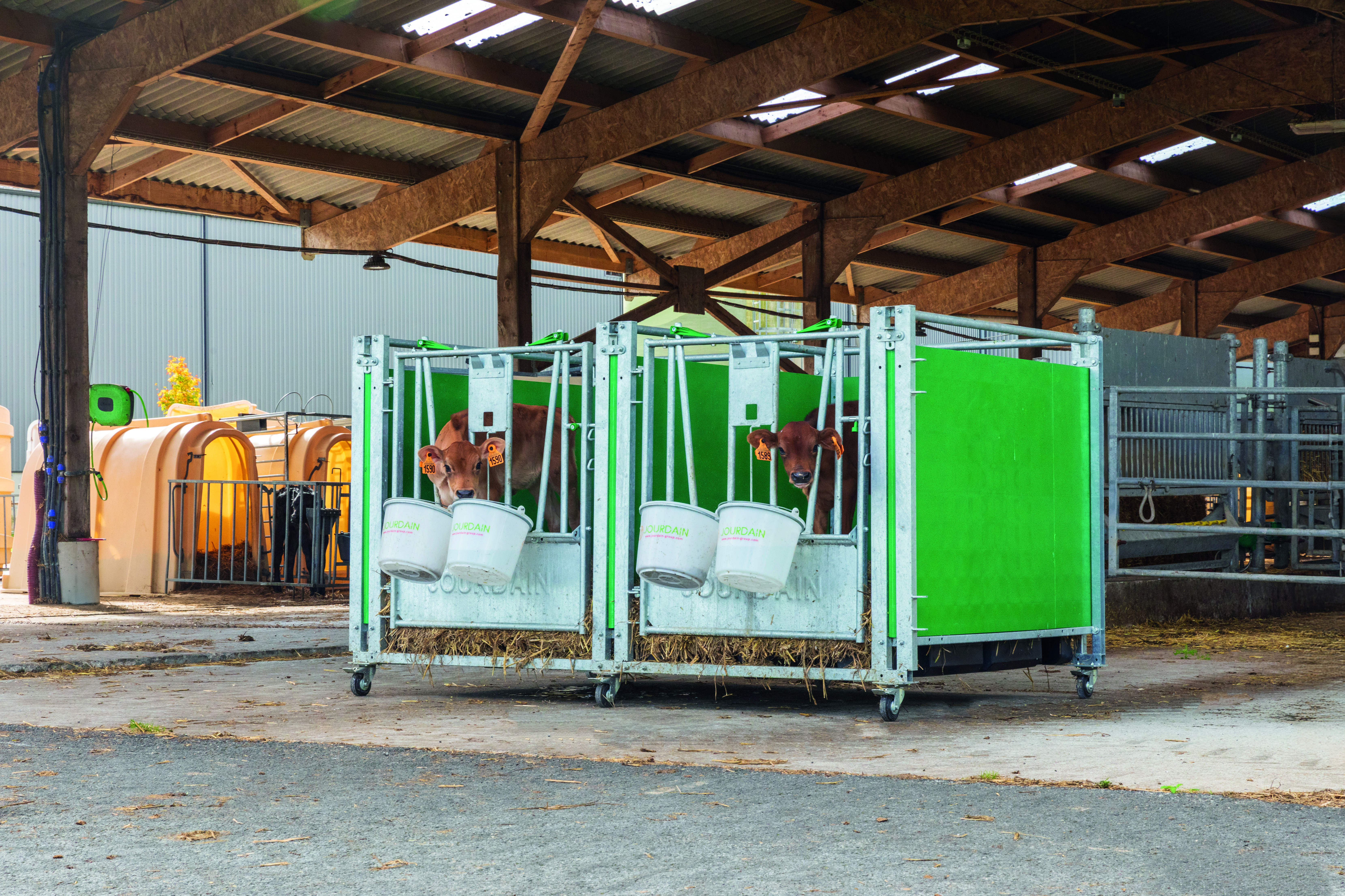 AT4A5768 24 10 BO Case veau JOURDAIN Vital