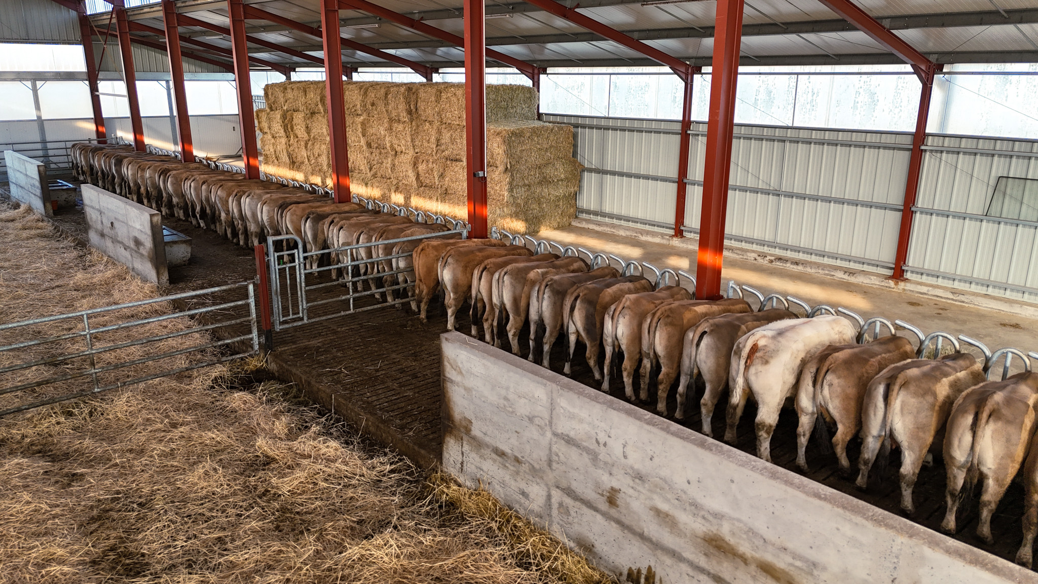 DJI 20251217103124 0664 D