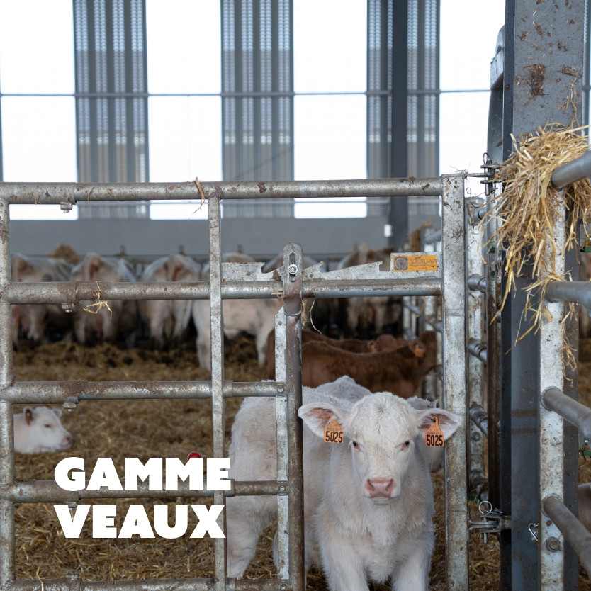 Gamme veaux
