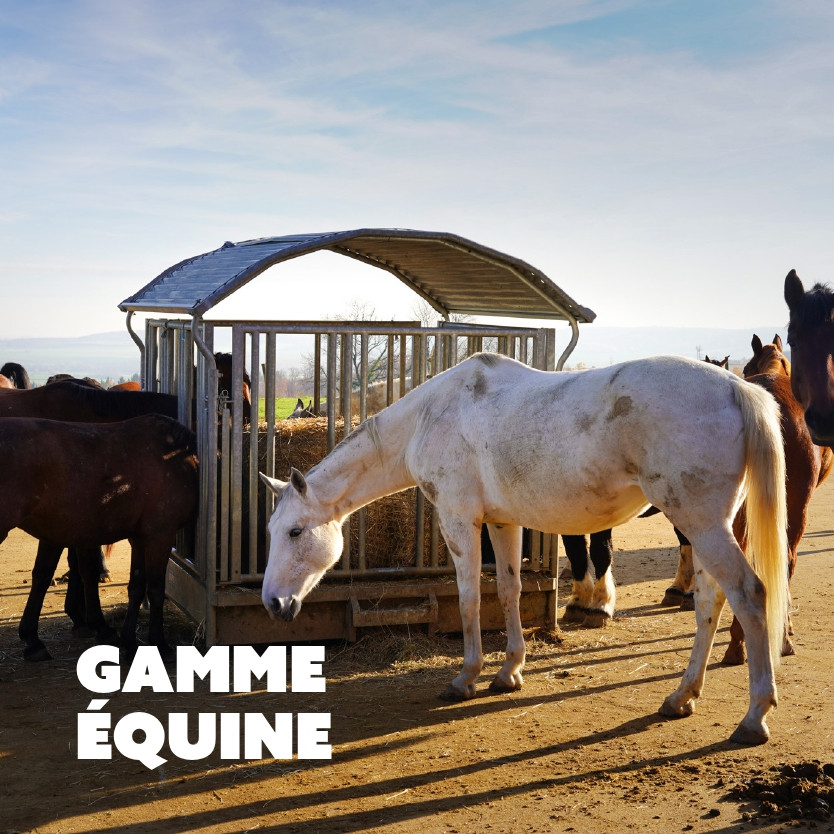 Gamme équine