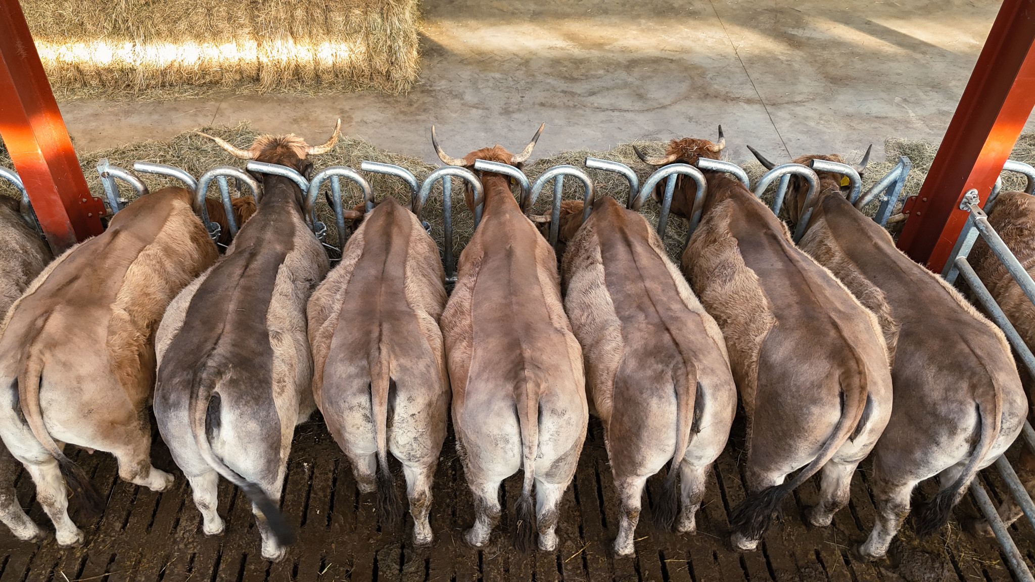 DJI 20251217103329 0670 D